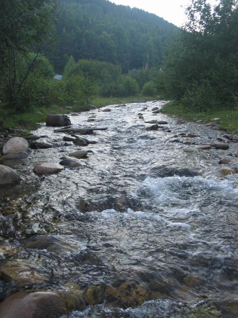 foto 032.jpg.jpg